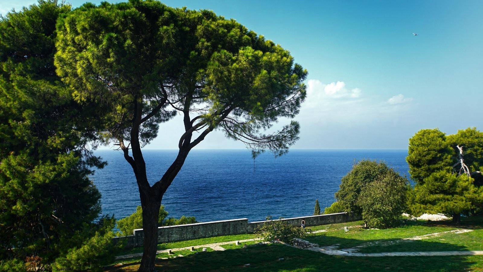parc-forestier-punta-corrente